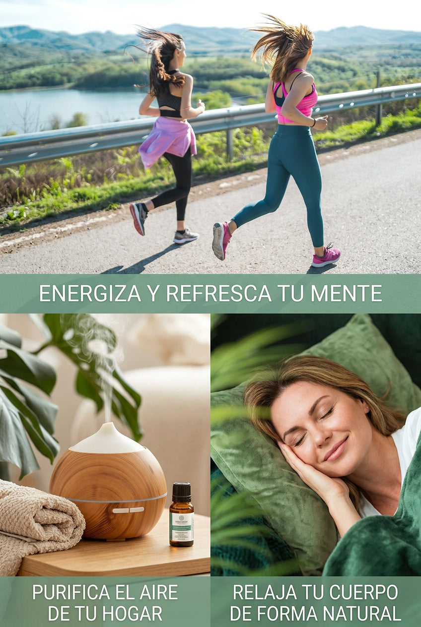 MAYJAM Aceite Esencial De Eucalipto 100Ml, Aceite De Eucalipto Para Difusor, Humidificador, Bricolaje, Hogar, Accesorios